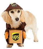 UPS Guy Dog Halloween Costume