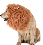 Lions Mane Dog Halloween Costume