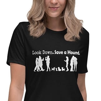 Look Down, Save a Hound Ladies' T-Shirt